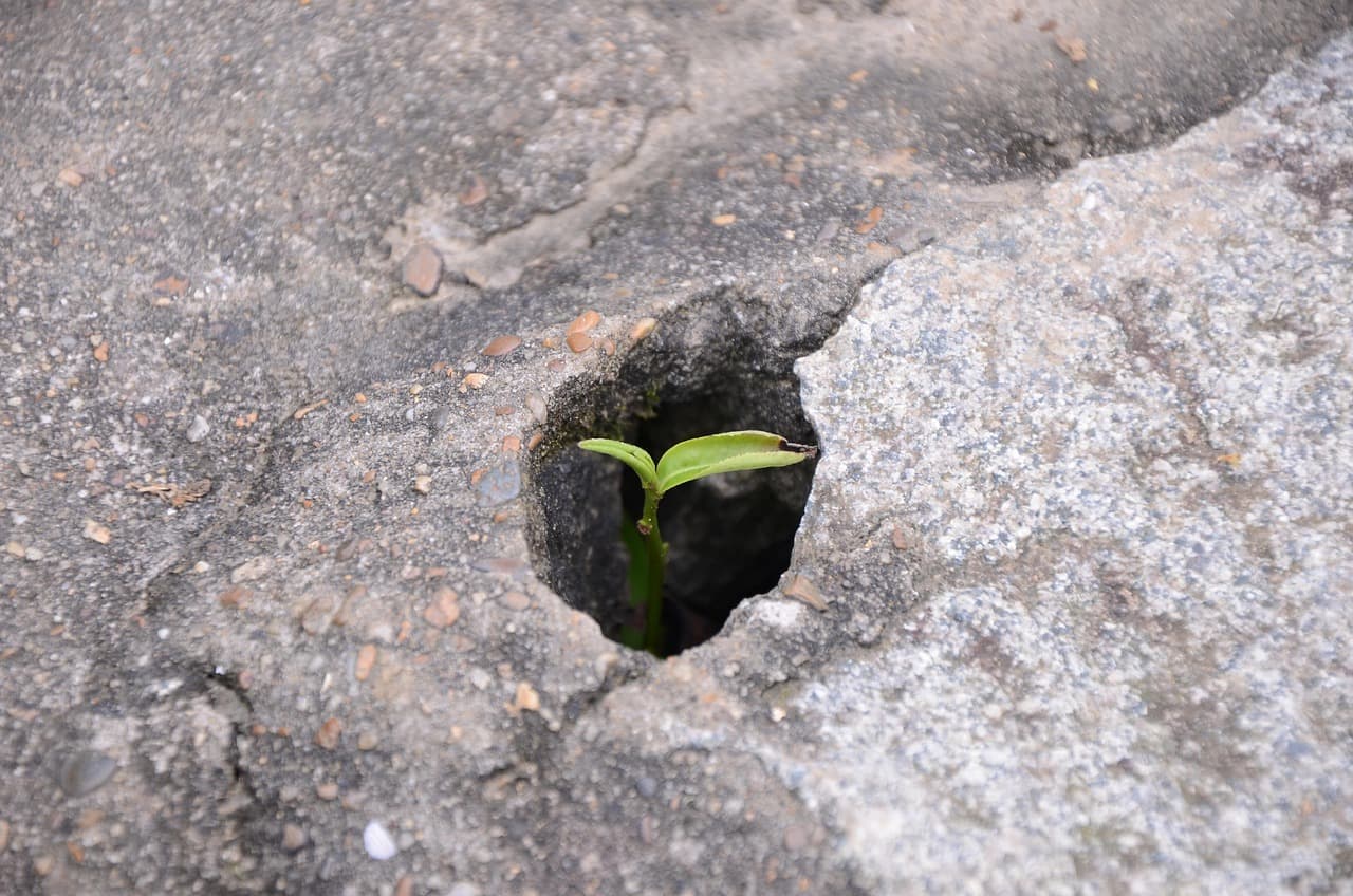 Opravy děr ve fasádě nejsou jen kosmetická záležitost